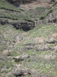 caidero 2 en salto del perro